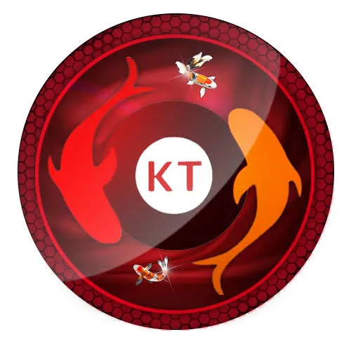 KOITOTO - Balapan Motor Menantang dan Seru